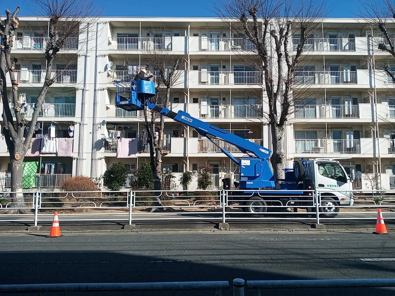 埼玉県住宅供給公社 県営岩槻諏訪山下住宅第3工区樹木剪定業務