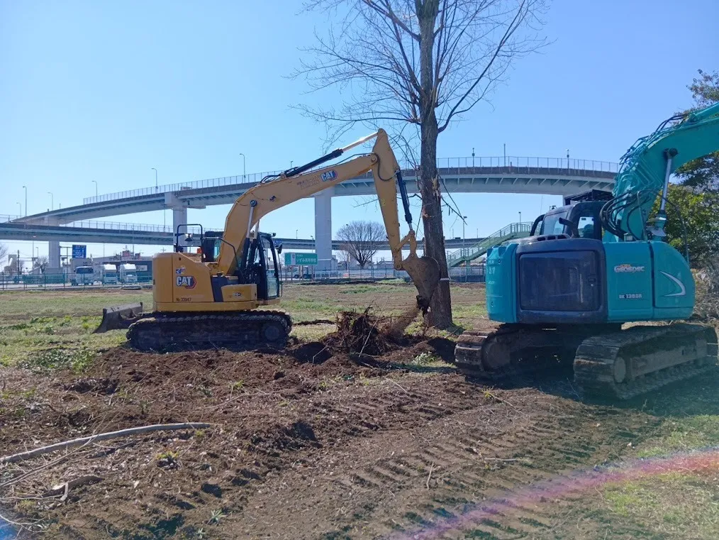 埼玉県立いずみ高校 樹木剪定及び伐採業務委託