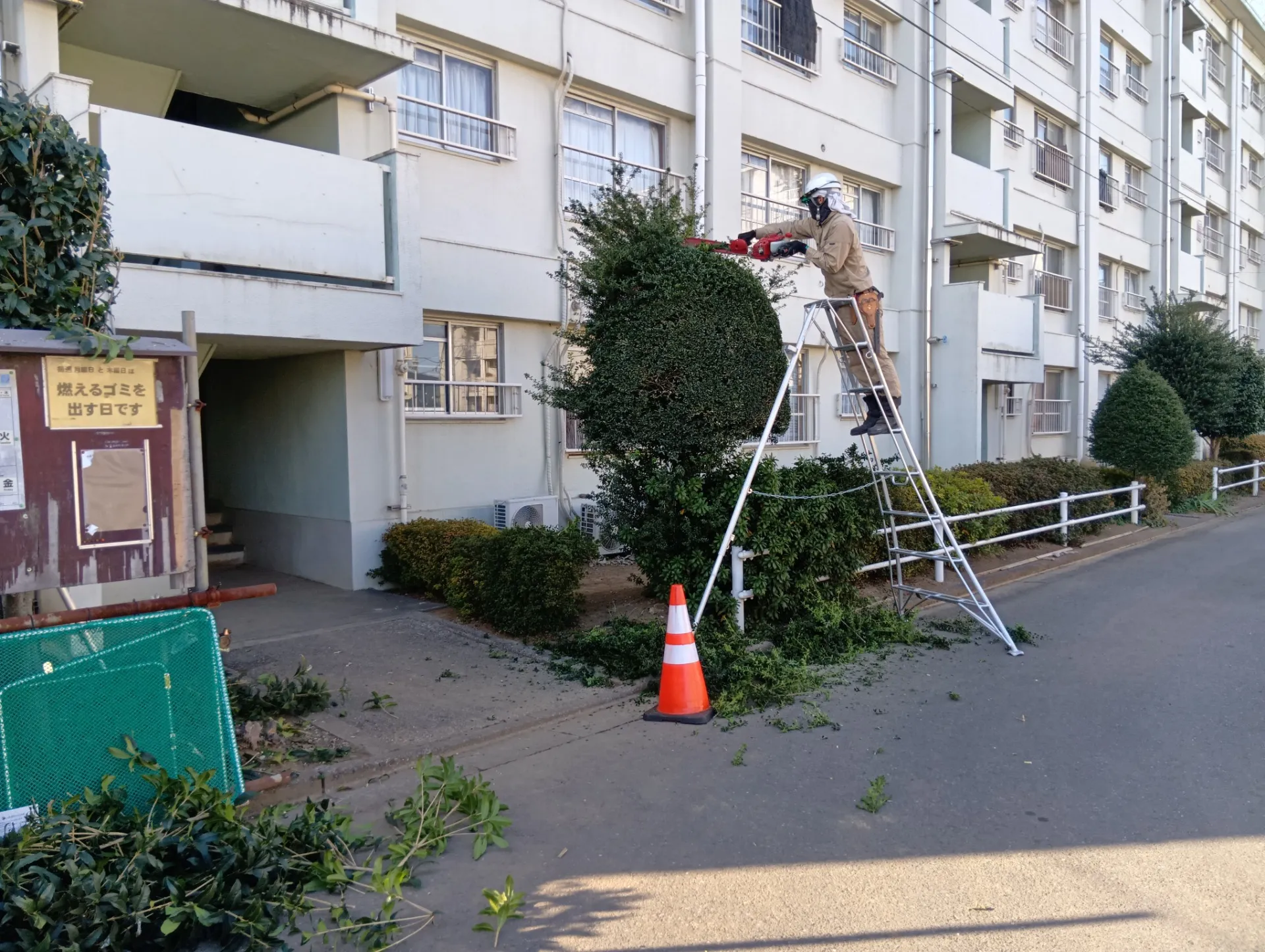 さいたま市営今羽住宅樹木剪定