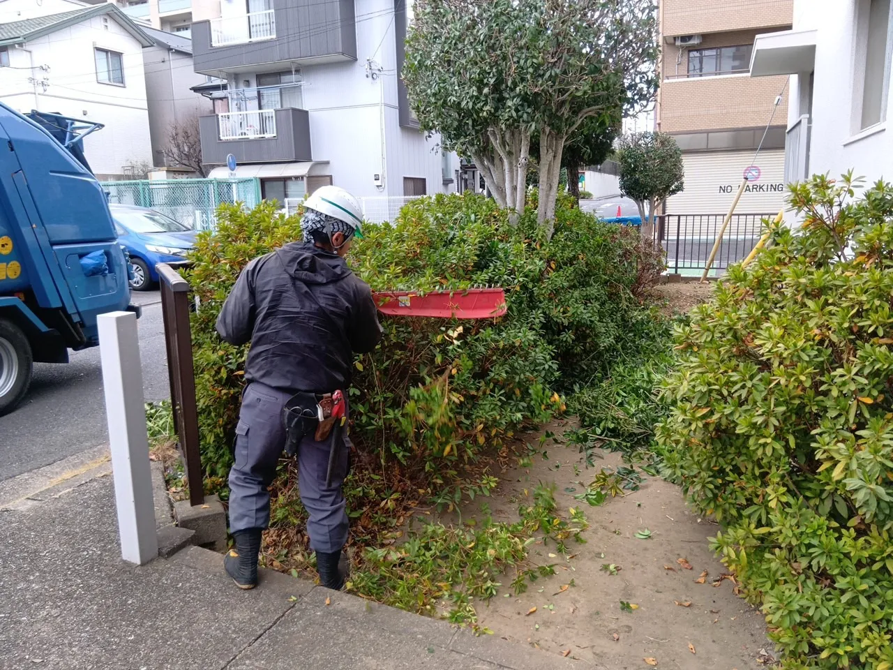 さいたま市 常盤8丁目住宅樹木剪定