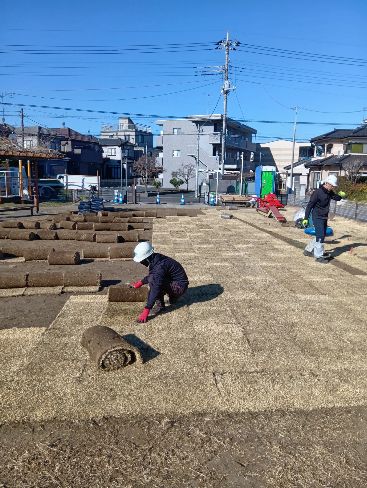 さいたま市 愛宕ふれあい広場 芝張