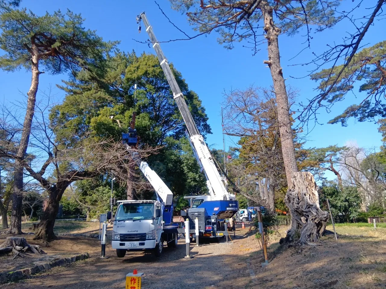 R7年度 大宮公園樹林地管理業務委託